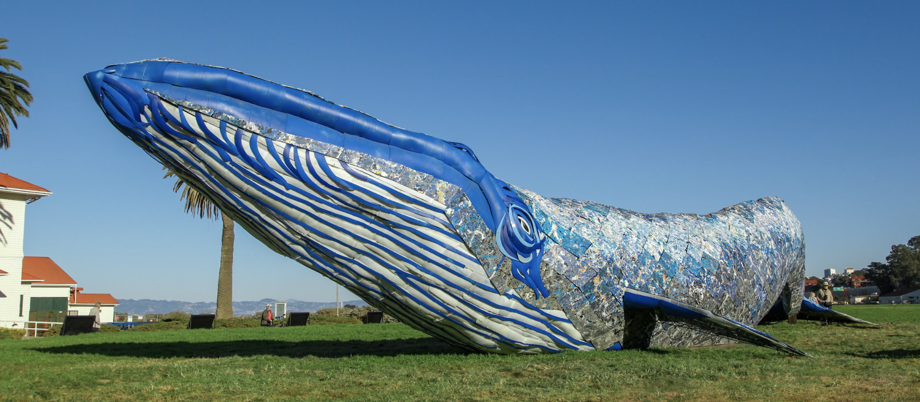 Happy Earth Day: Meow Wolf &amp; The Whale