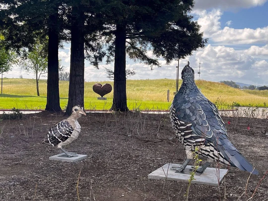 SOMA Village Quails