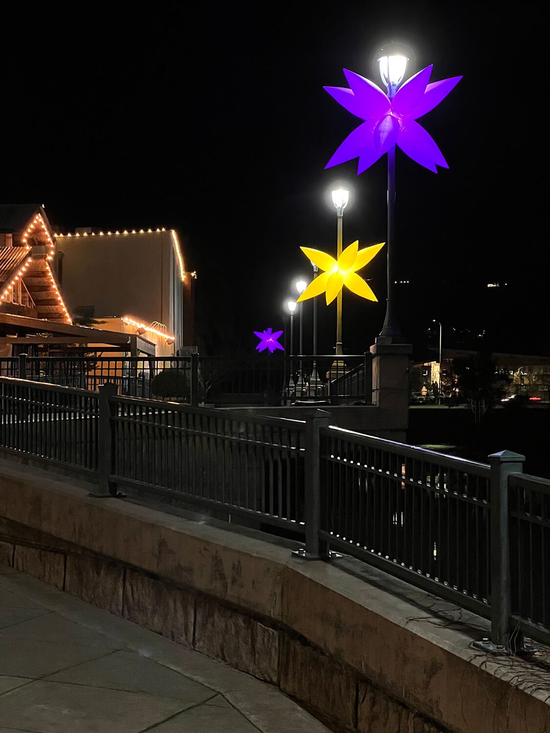 Napa Lighted Arts Festival 2023