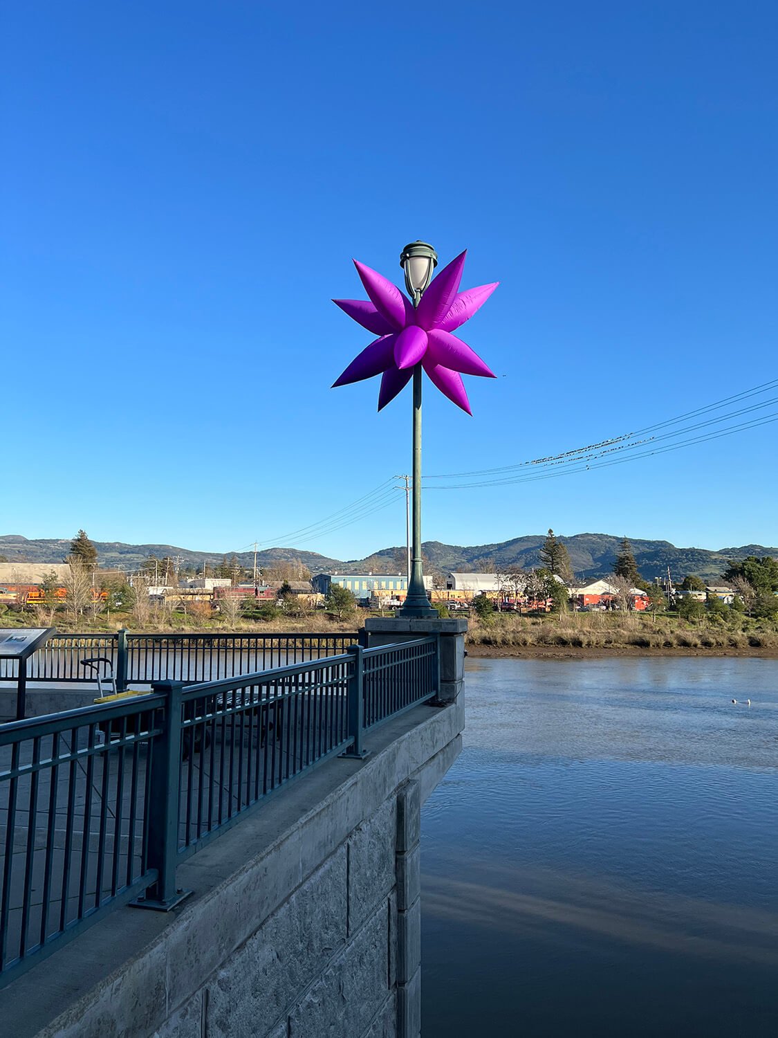 Napa Lighted Arts Festival 2023