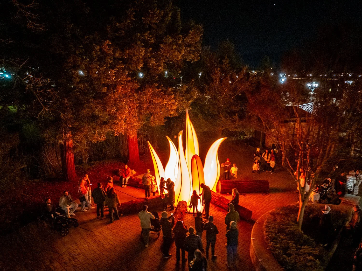 Napa Lighted Arts Festival 2025