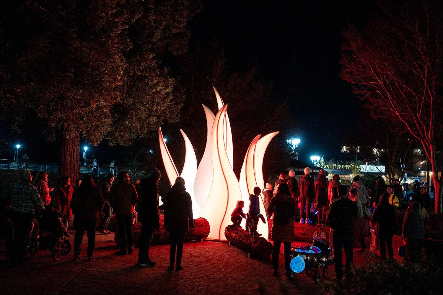 Napa Lighted Arts Festival 2025