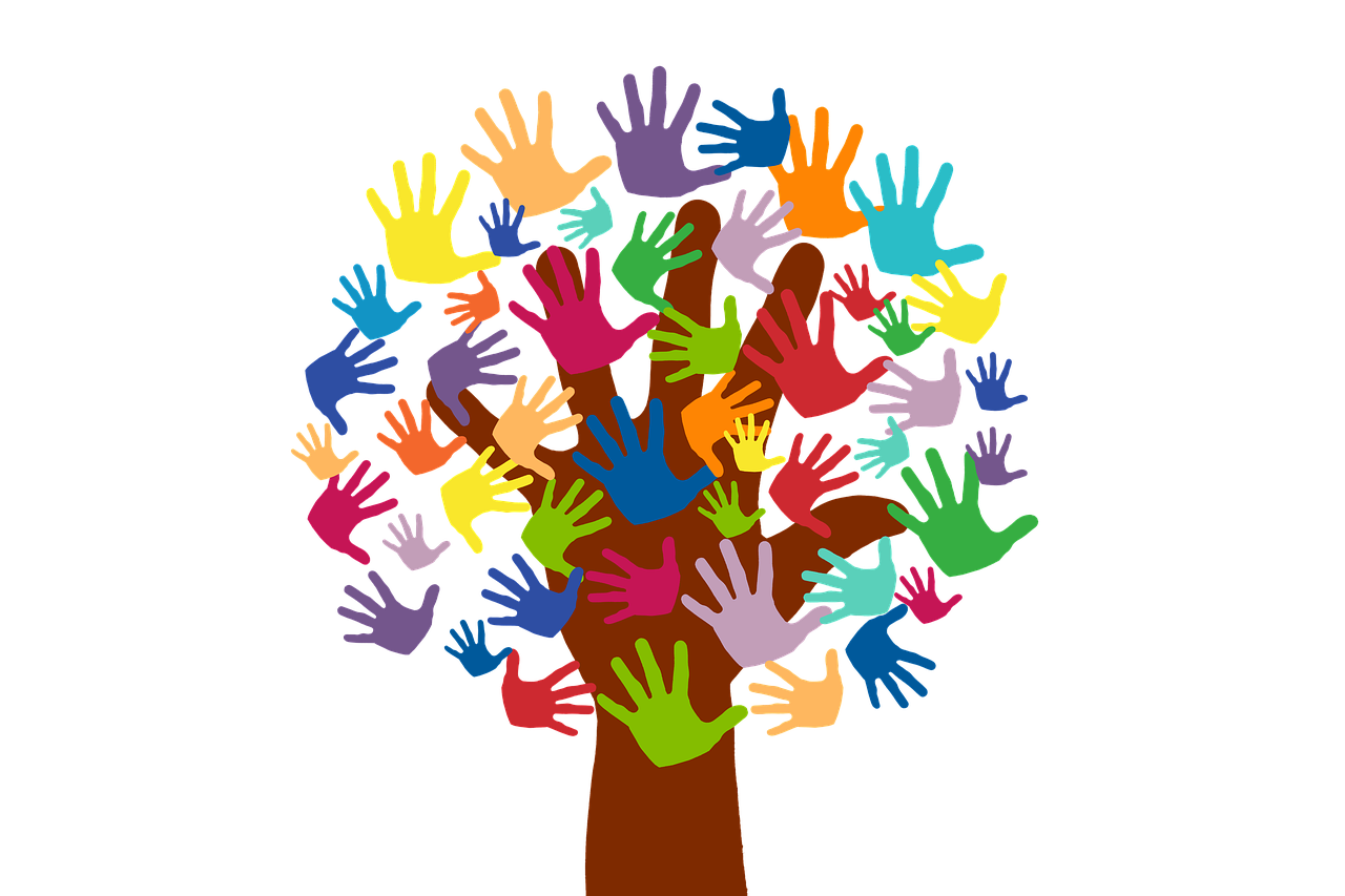 Volunteers &amp; Experiences