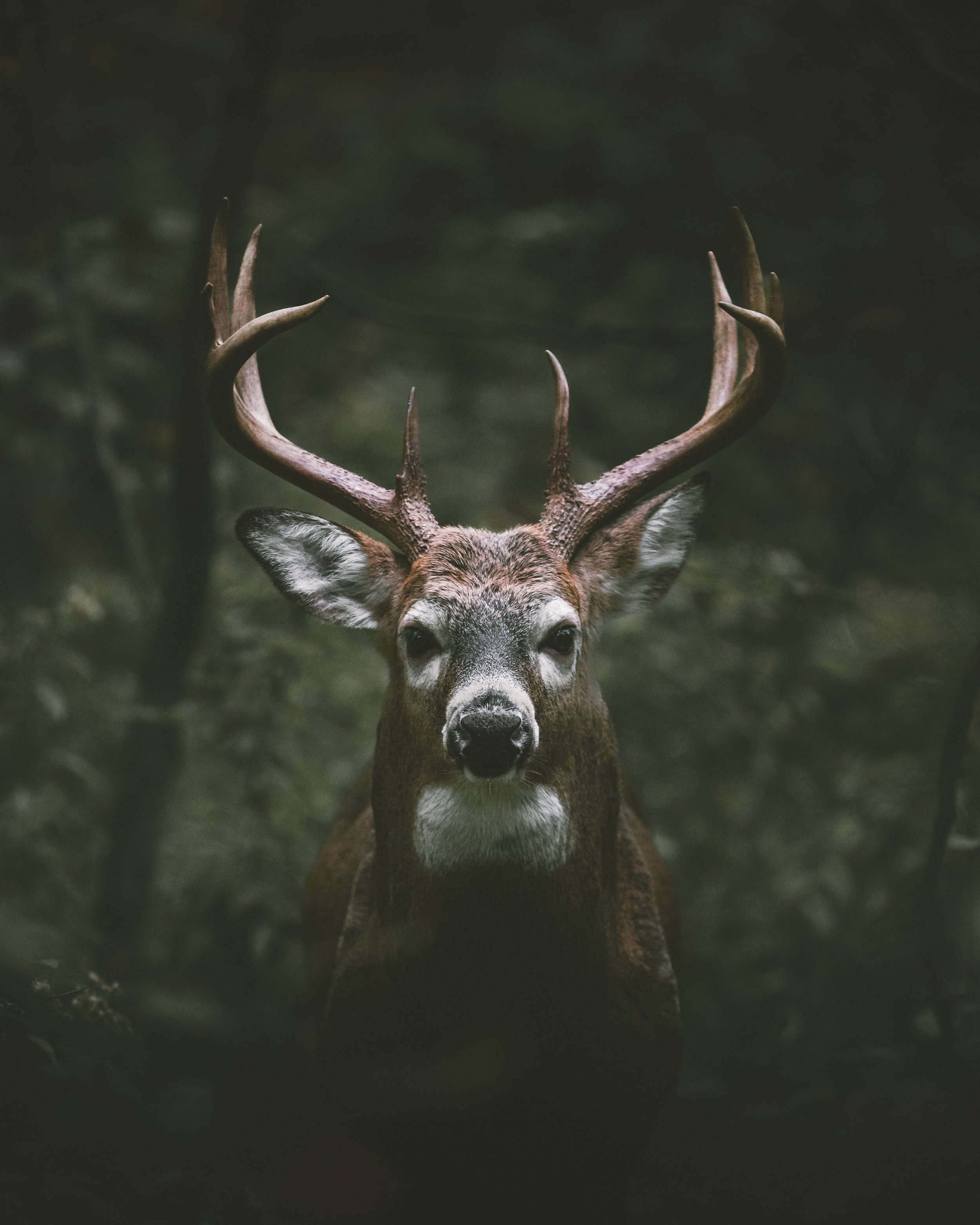0X1A1596-Edit-6.jpg