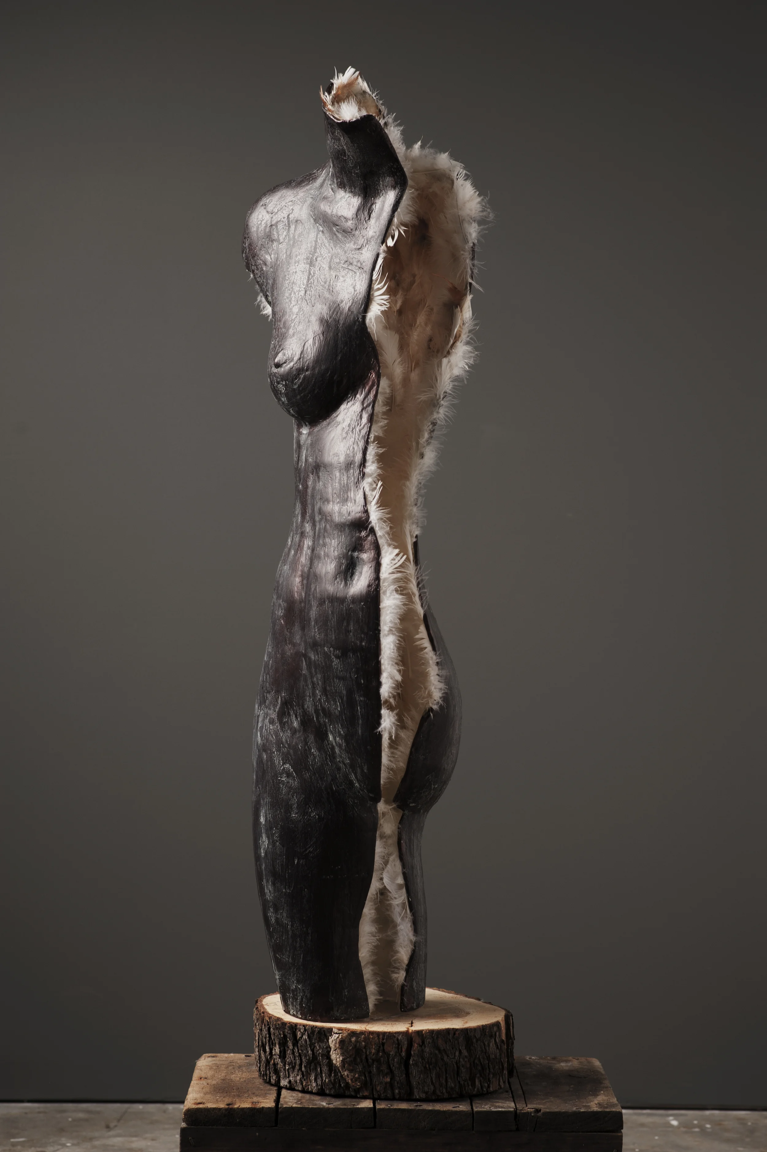 cast 5.jpg