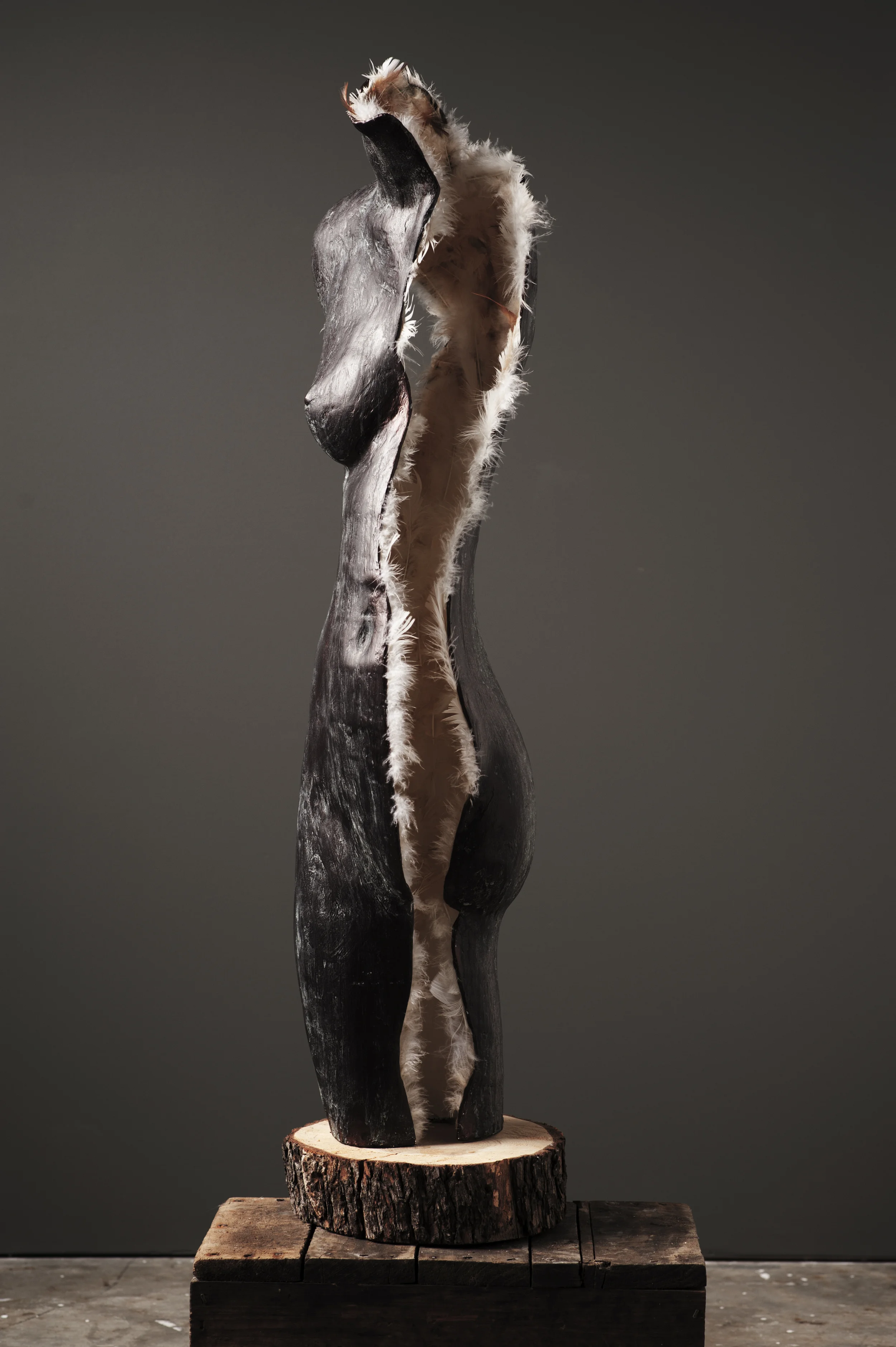 cast 1.jpg