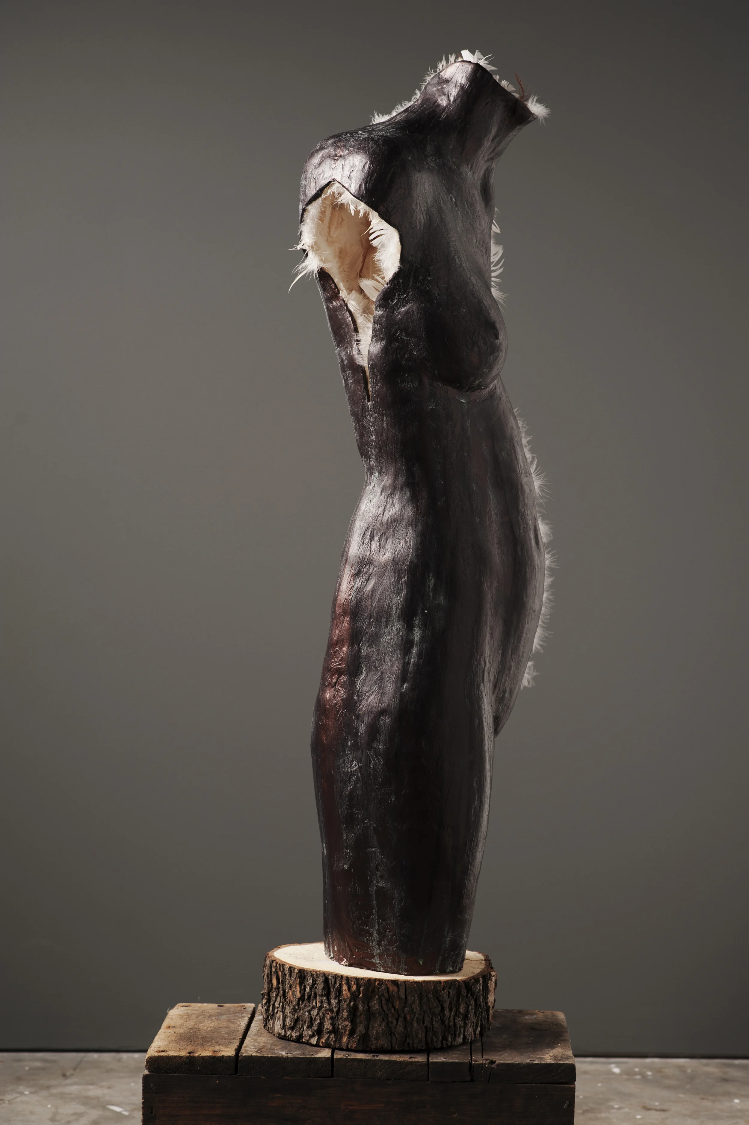 cast 4.jpg