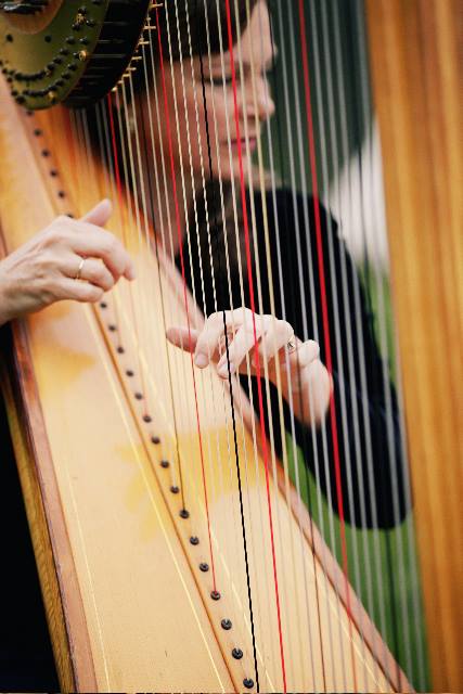 Harp-throughstrings.jpg