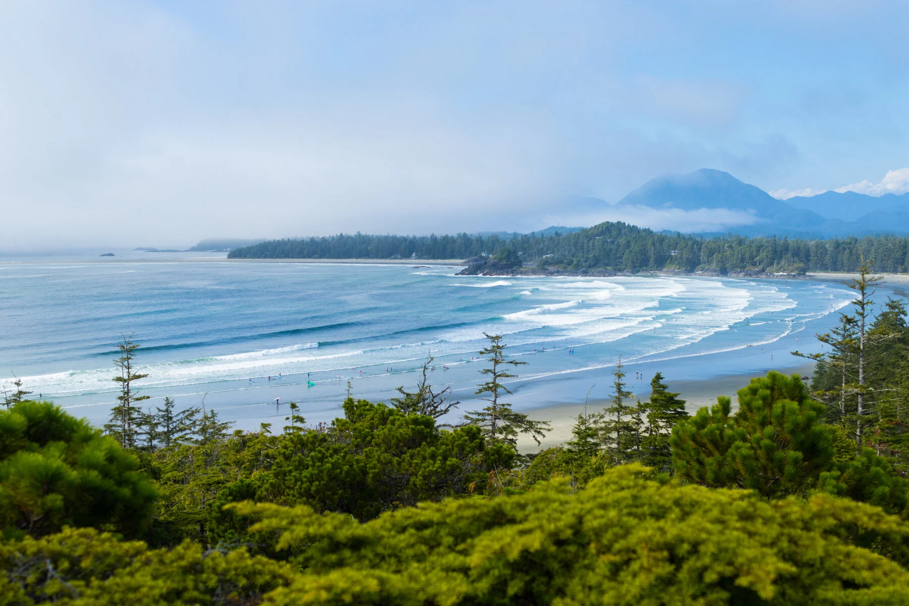 When the Fog Rolls In