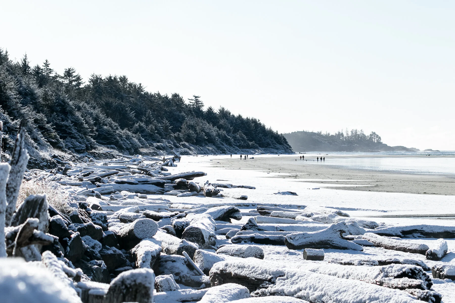tofino_surf_photography-north_chesterman_snow_2019.jpg