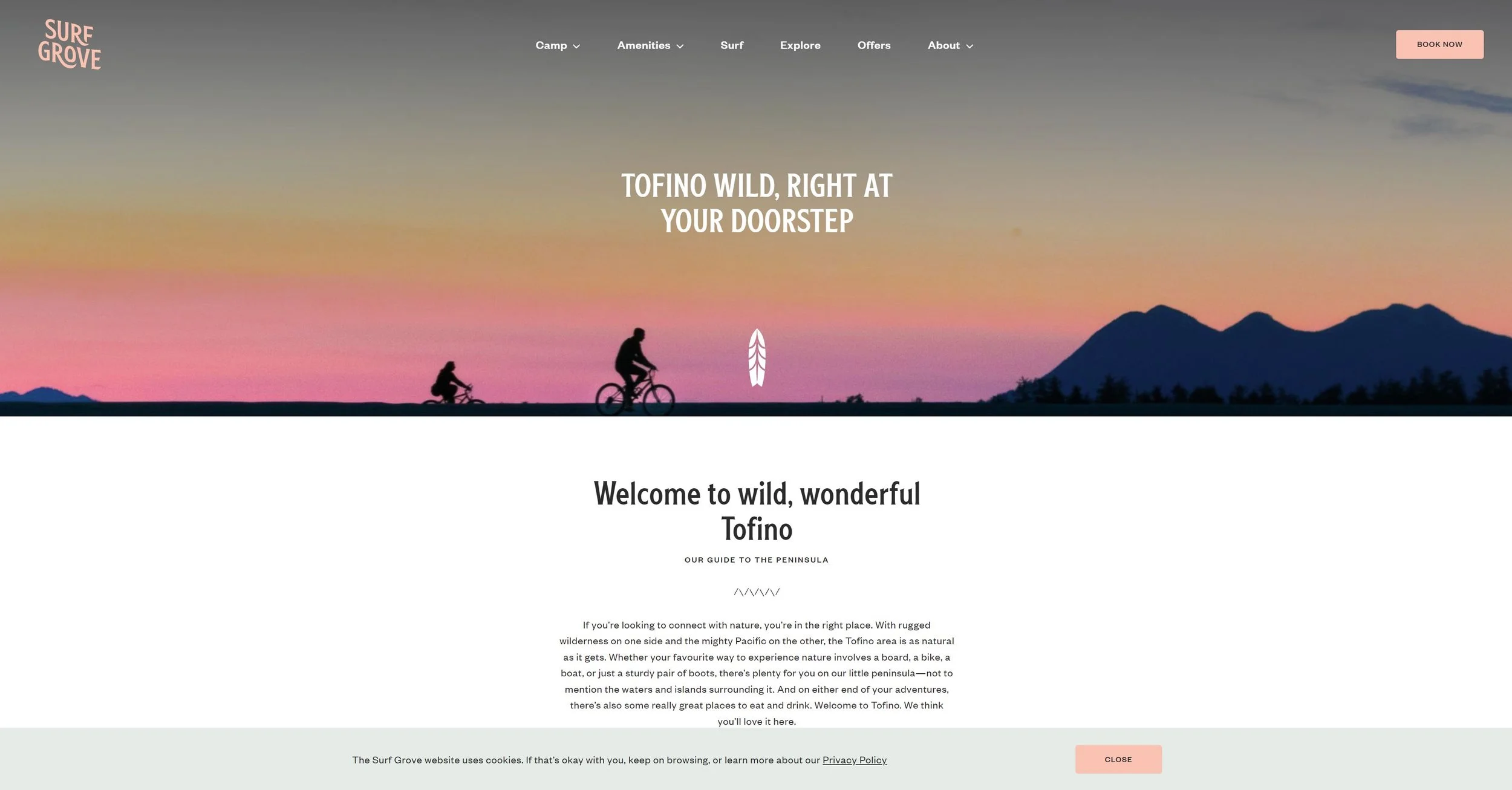 tofino_surf_photography - media_licensing_surf_grove - 3.JPG
