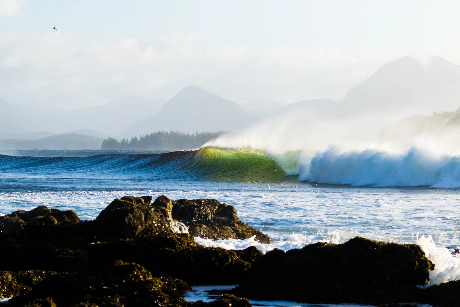 tofino_surf_photography-salt_water_and_silt.jpg