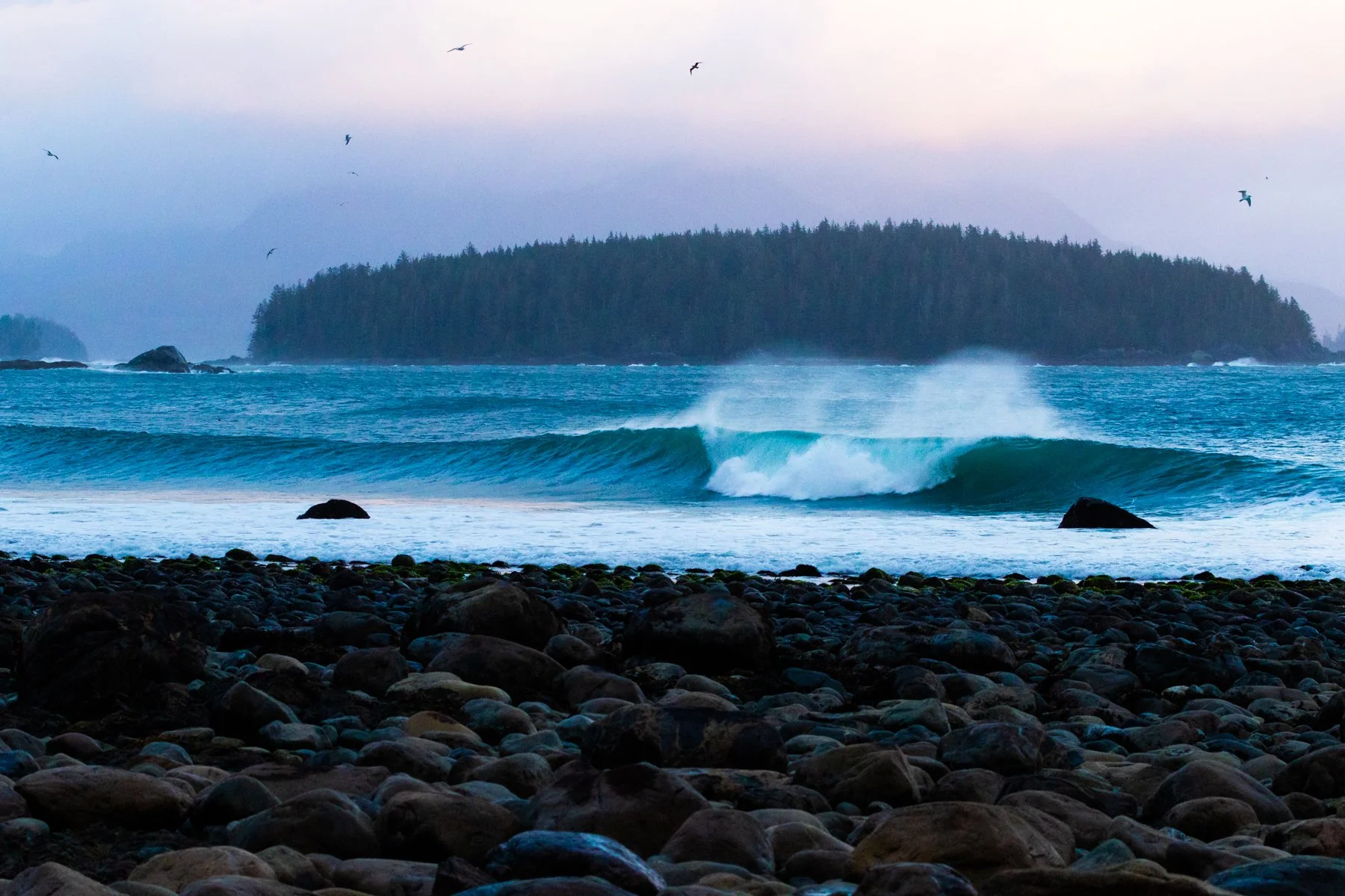 Tofino_Surf_Photography - Split_Peak_Soup_For_The_Surfers_Soul - Print.jpg