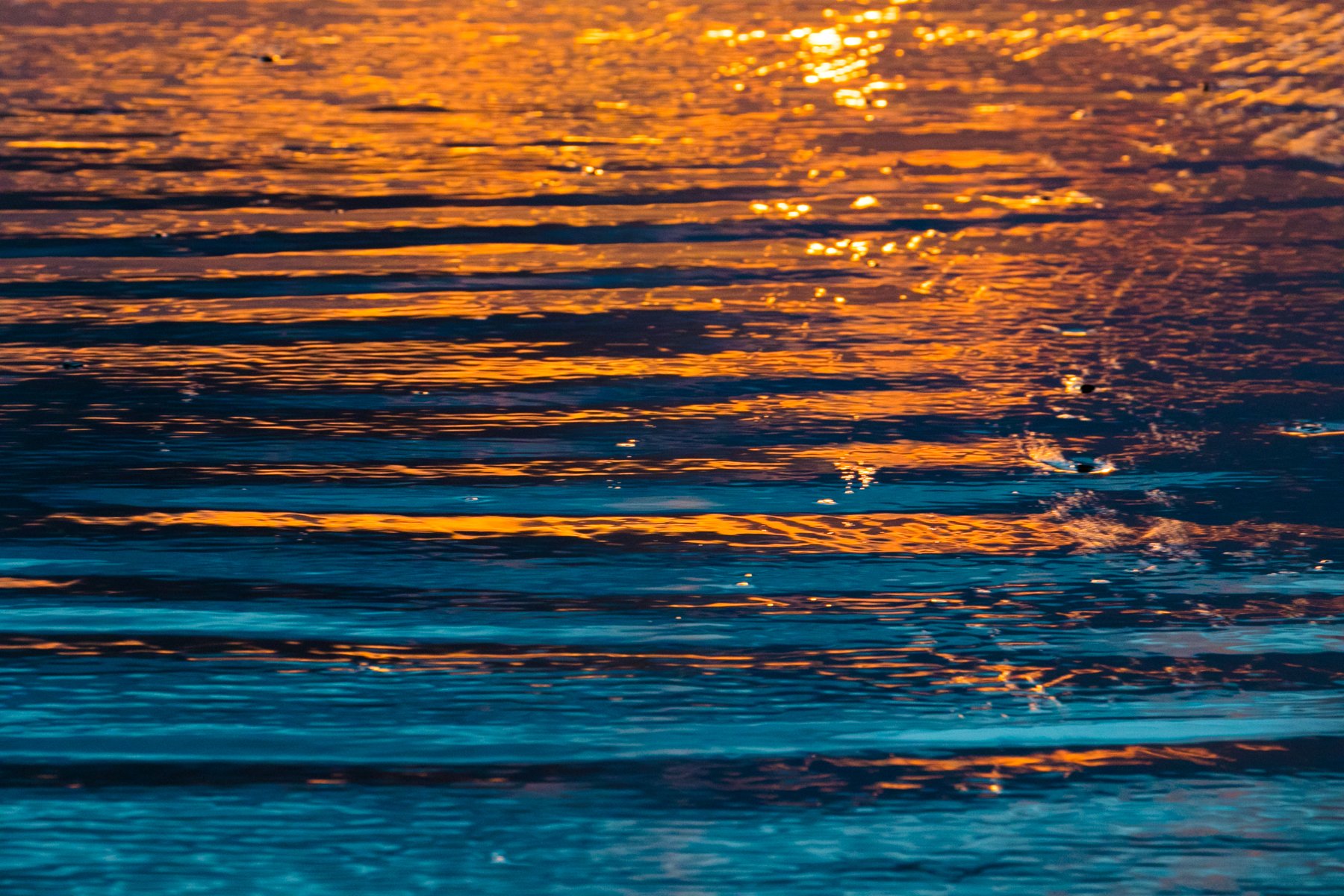Tofino_Surf_Photography-Bloodstone_Sands_Print.jpg