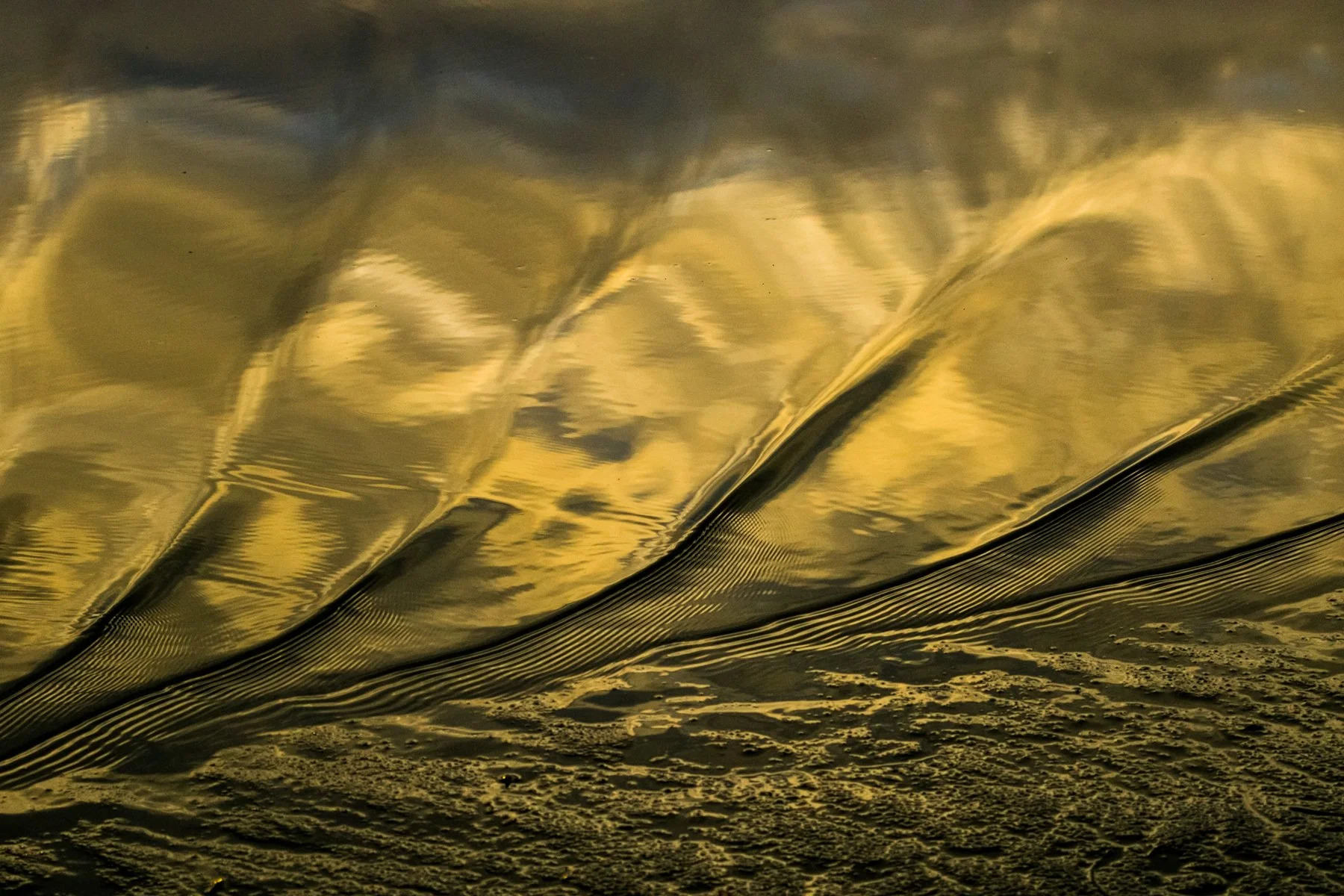 Tofino_Surf_Photography-Gilded_Ripples_Print.jpg
