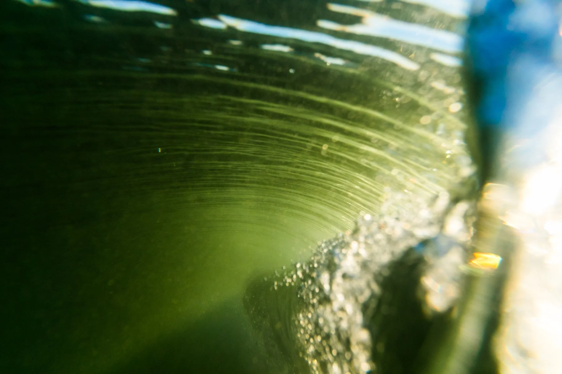 Tofino_Surf_Photography-The_Unfurling_Print.jpg