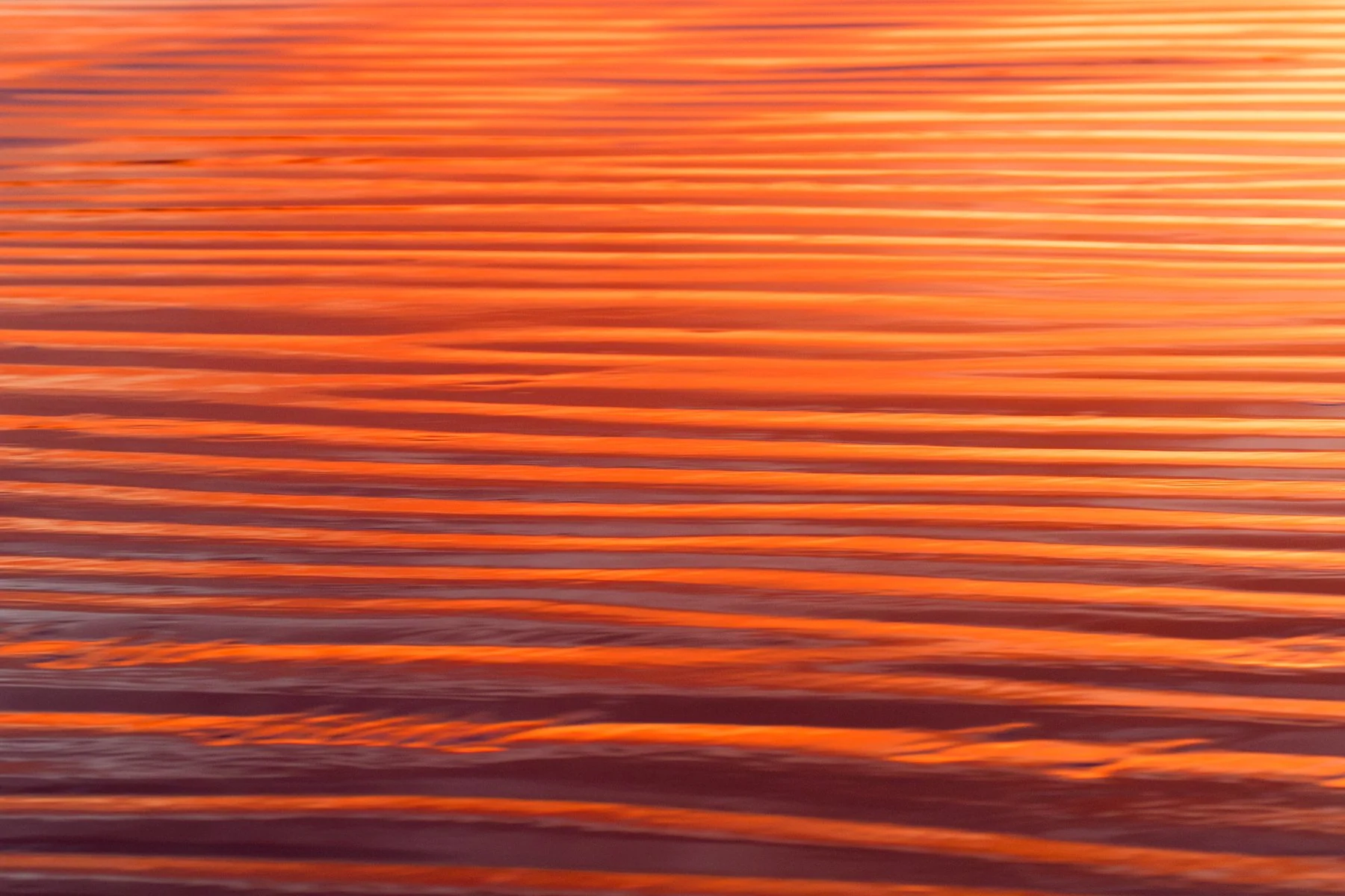 Tofino_Surf_Photography-Strawberryfire_print.jpg