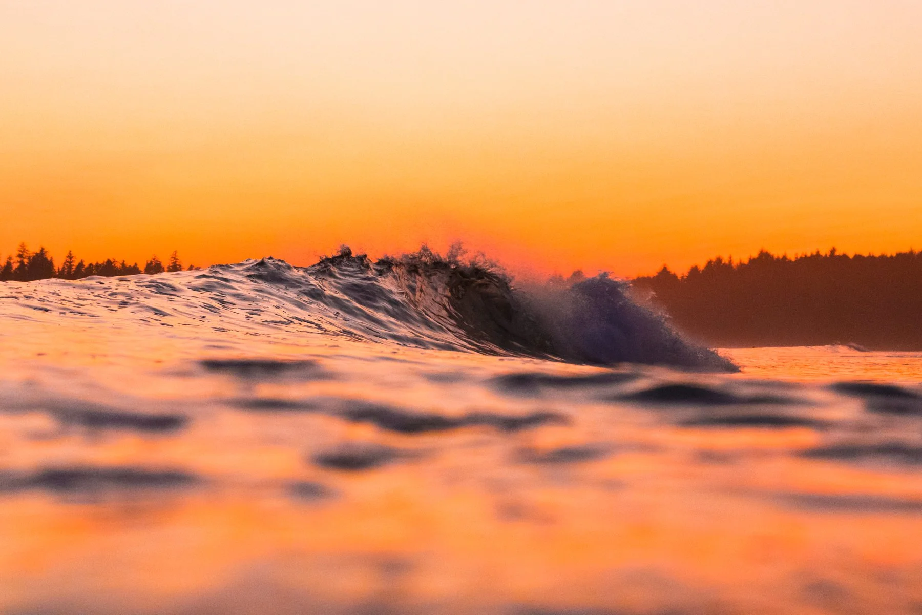 Tofino_Surf_Photography - Citrine_Dream_Print.jpg