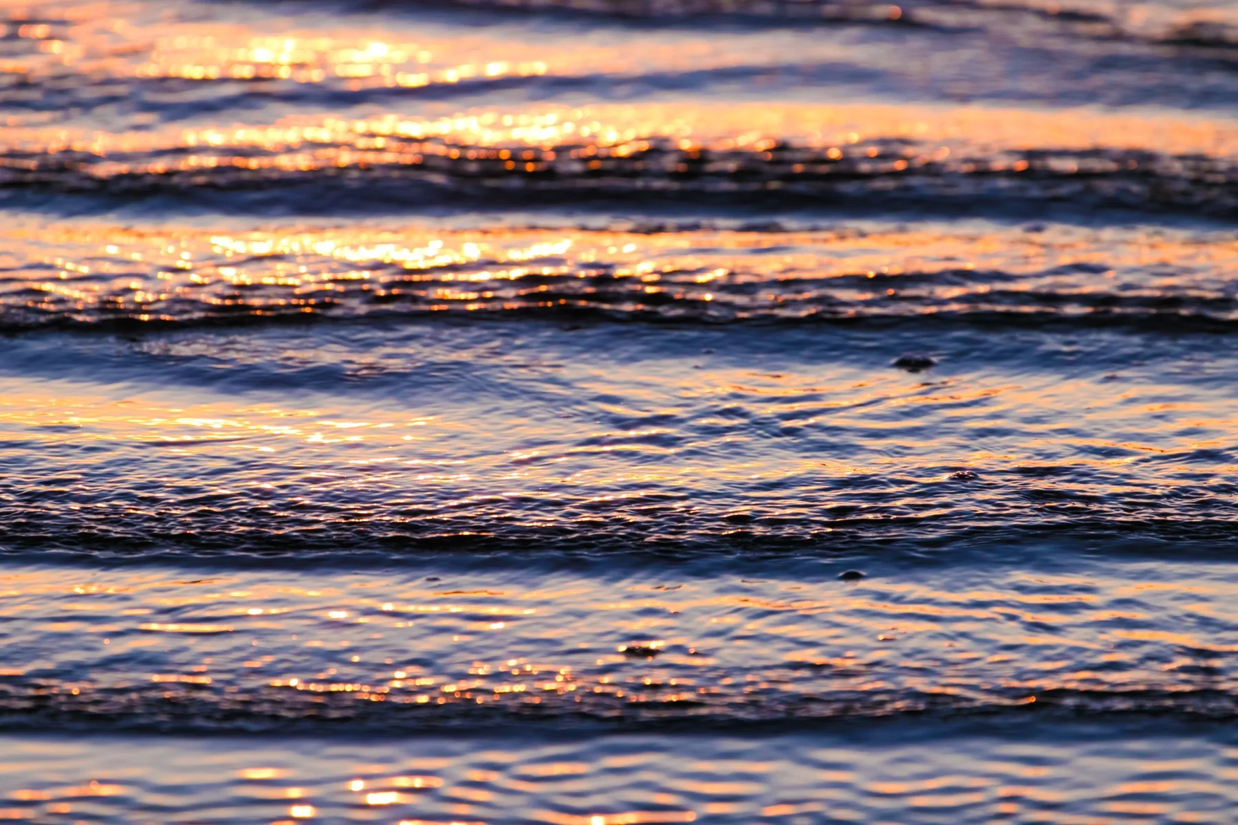 Tofino_Surf_Photography-Ebb_Tide_print.jpg