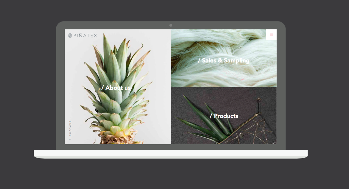 Laptop screen displaying a website for Piñatex with images of a pineapple and aloe vera, and menu options for About us, Sales & Sampling, and Products.