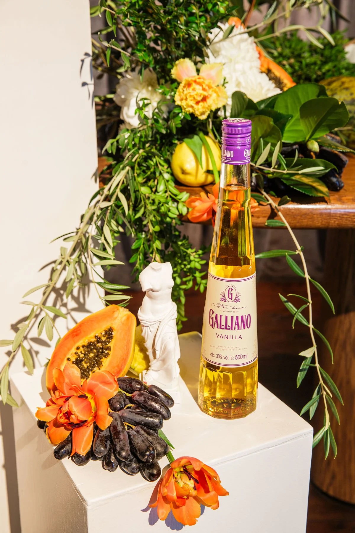 CMMS-Galliano-event-3.jpg