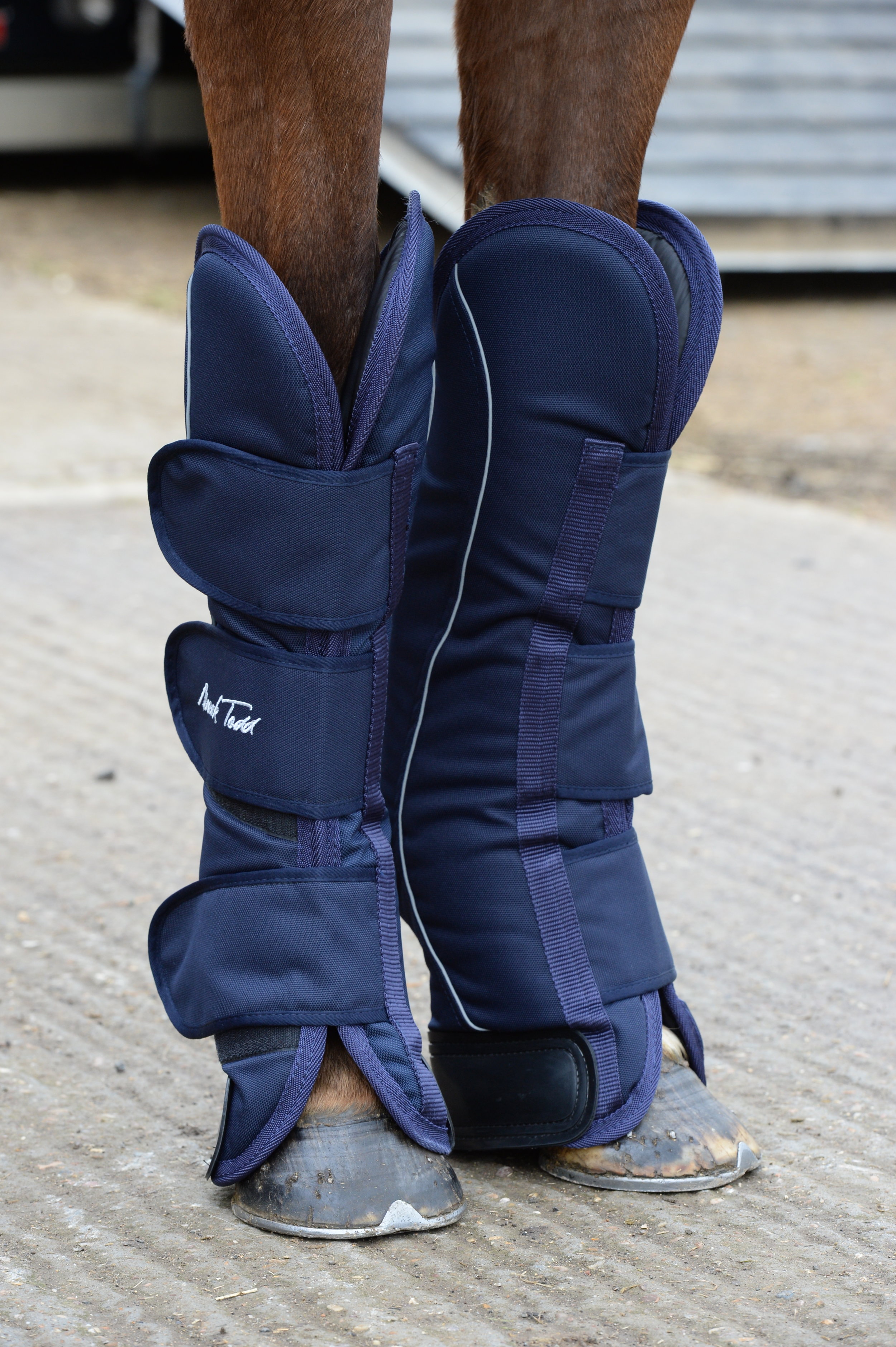 Mark Todd travel boots Your Horse Magazine