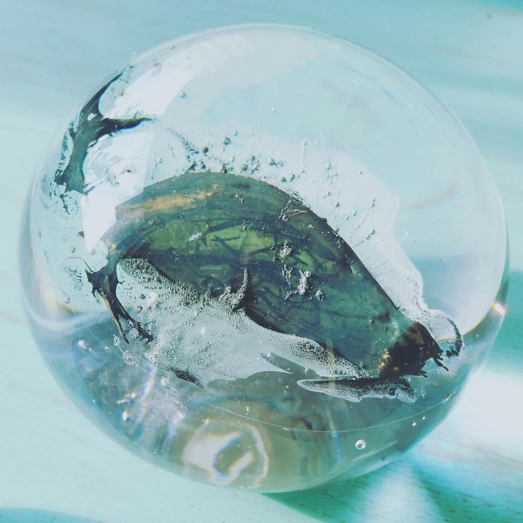  The burnt matter inside the glass 