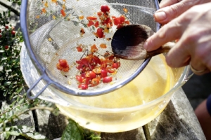 2. Use a sieve and a spoon and squish off the berries flesh from the small white seeds. To remove more flesh, run the sieve under a cold tap.