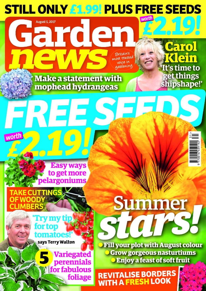 Carol Klein says the clock is ticking! It's a race against time to get the garden at Glebe Cottage in tip-top condition. The Garden News Team are clearing bedding to plant new borders, spraying roses, protecting dahlias from earwigs, and sowing baby carrots with spring onions. Our Garden of the Week is quintessentially English, but boasts many rare and unusual plants from around the globe! This Week's Features: Our pick of the August superstars; Grow the best nasturtiums; Savour soft summer fruit. Garden News Expert Contributors : Ken Abel on pelargoniums, and Graham Strong on bedding. Plus all our regular columnists! 