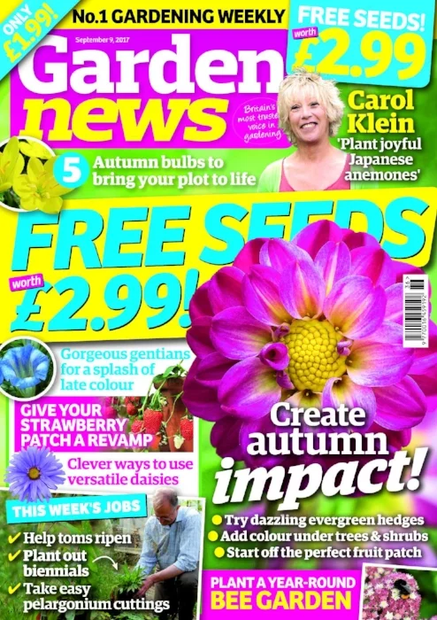 COVER_preview_1.jpg