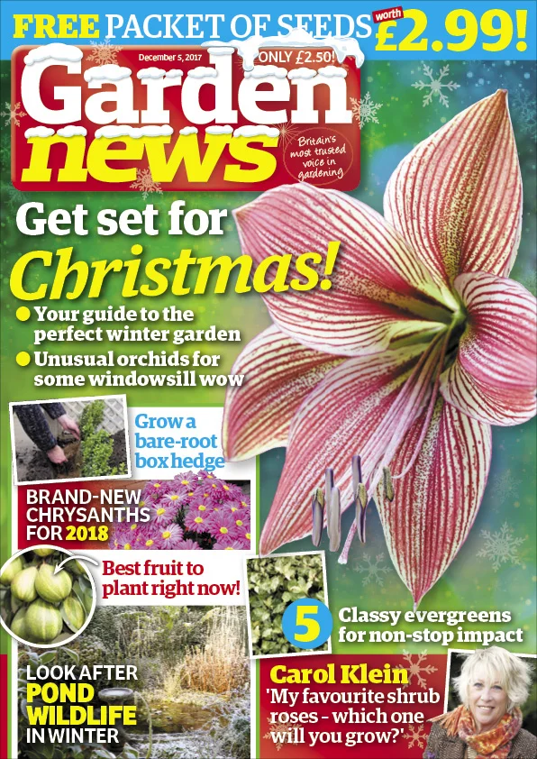 COVER_preview_2.jpg