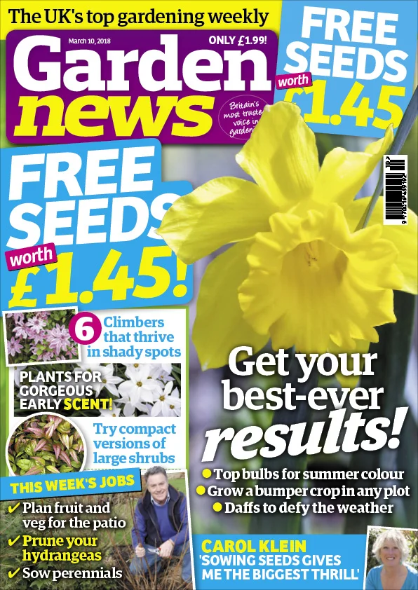 COVER_preview_1.jpg