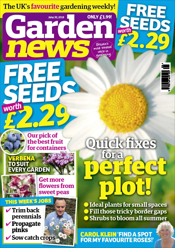 COVER_preview_1.jpg