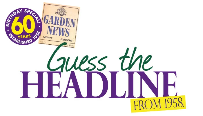 quiz-headline-banner.jpg