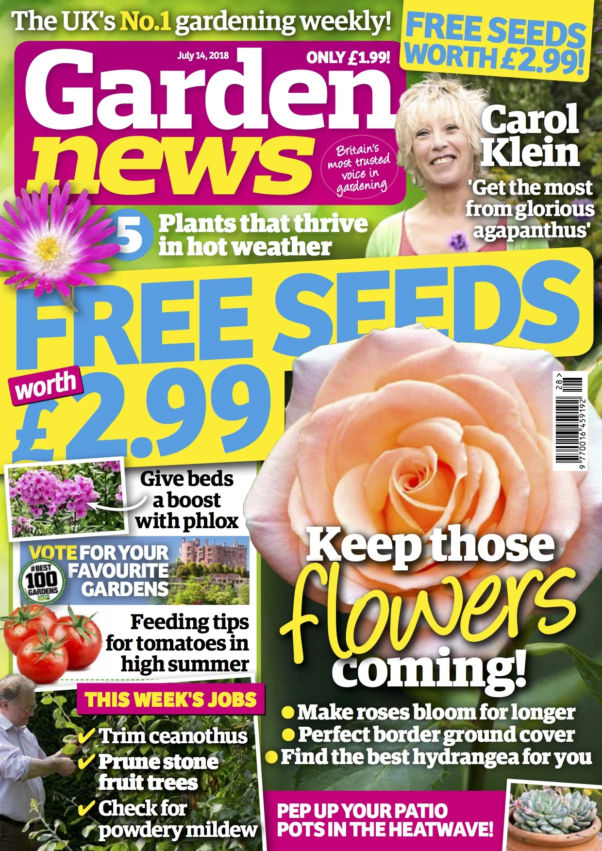 COVER (Low-res PDF).jpg