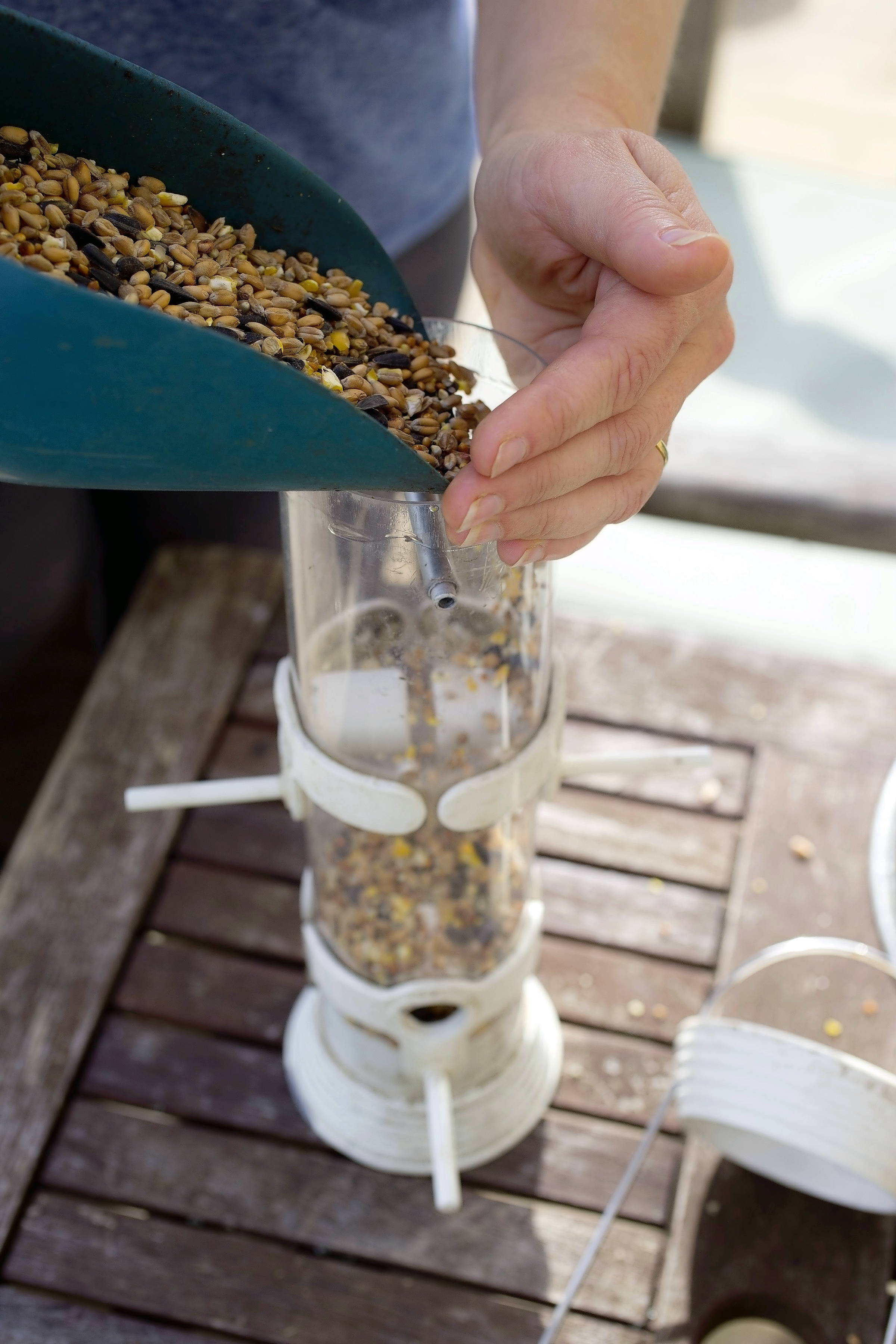2) Fill up bird feeders - GN128158.jpg