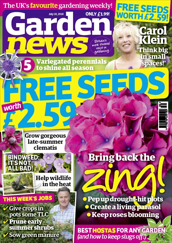 COVER_preview_1.jpg