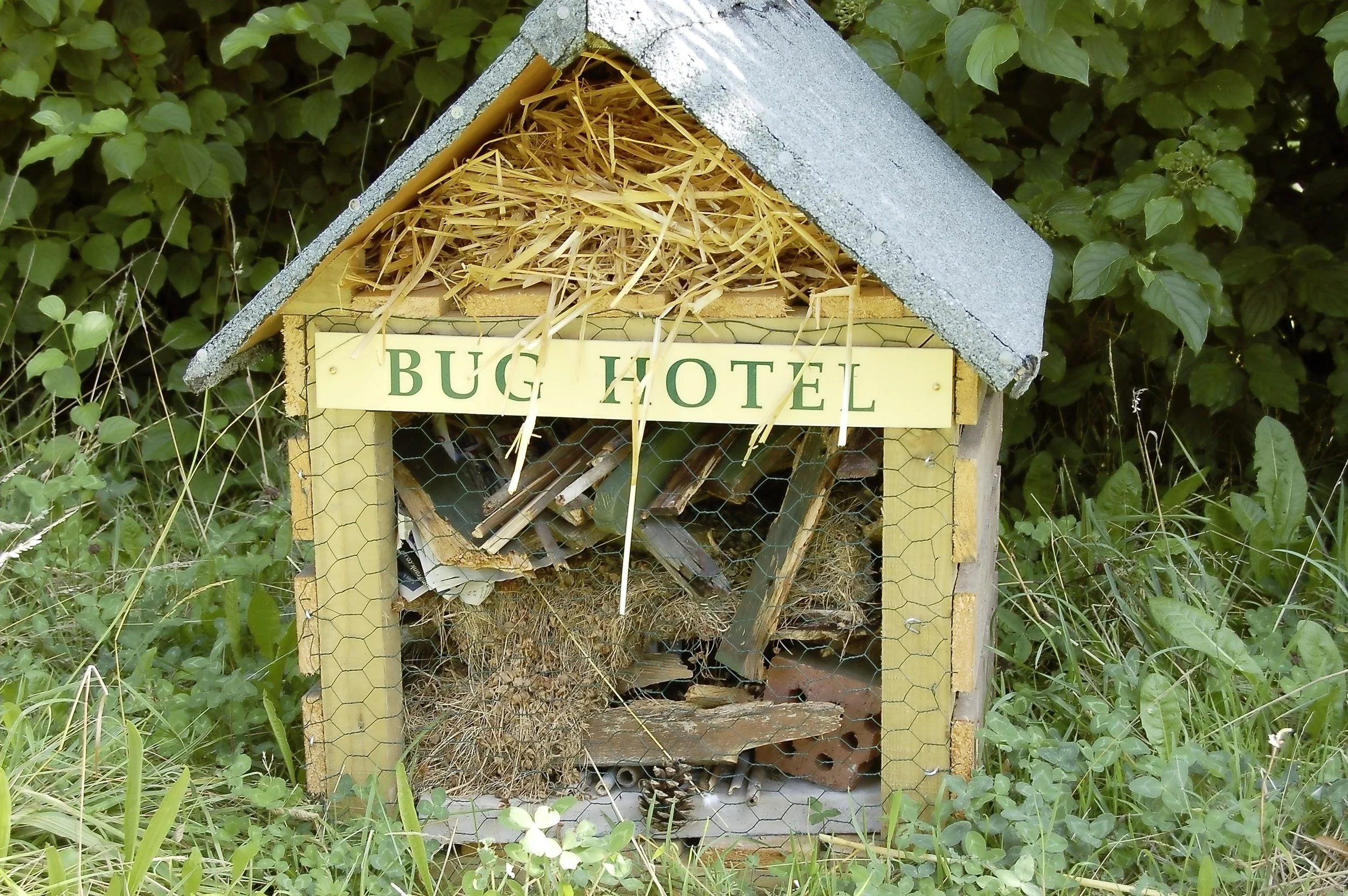 Wildlife habitats - step 3.jpg