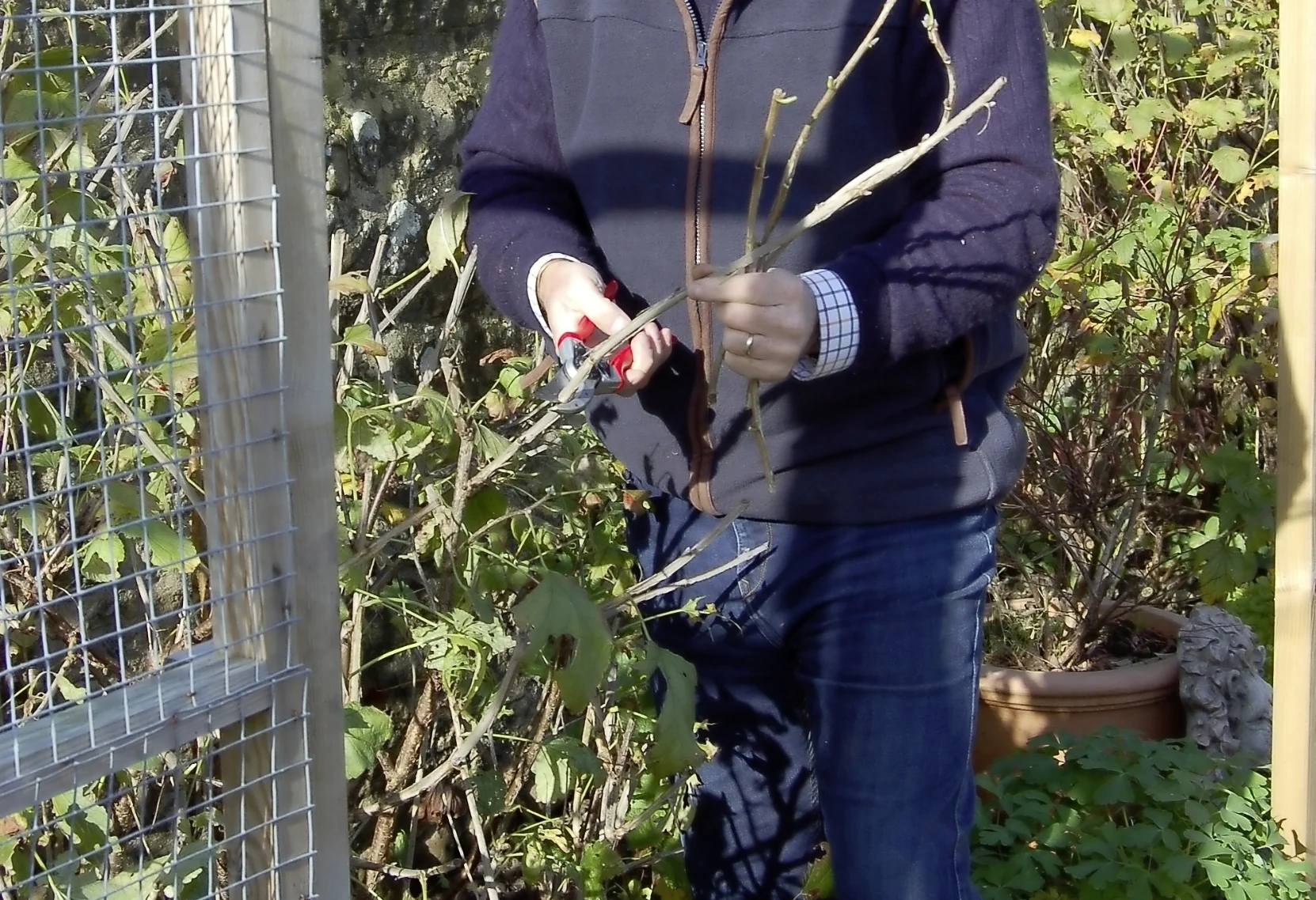 Hardwood cuttings - main pic.jpg
