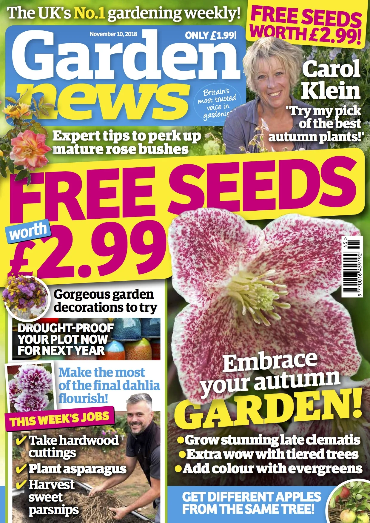 Cover November 10th.jpg
