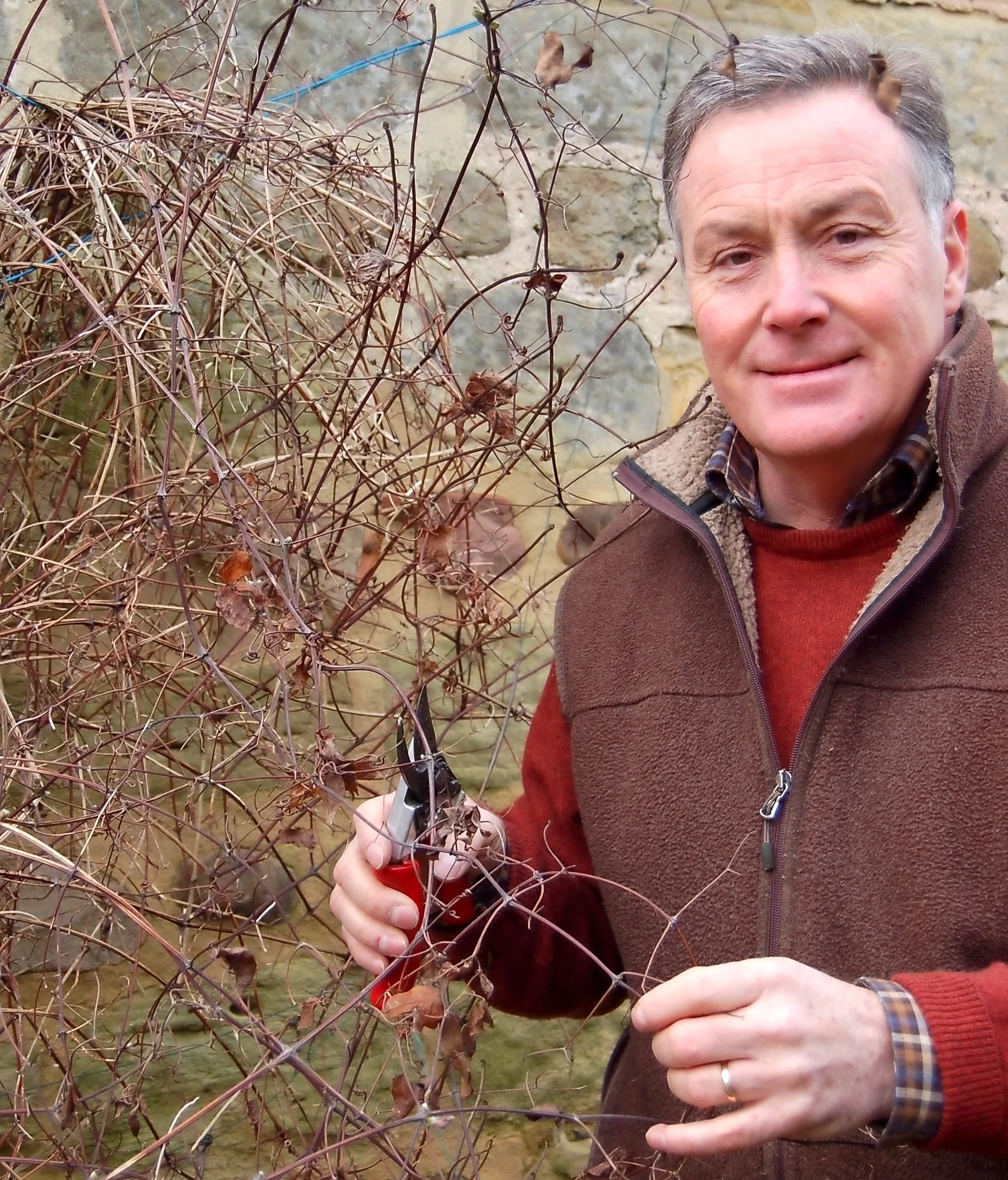 Prune+clematis+-+main+pic.jpg