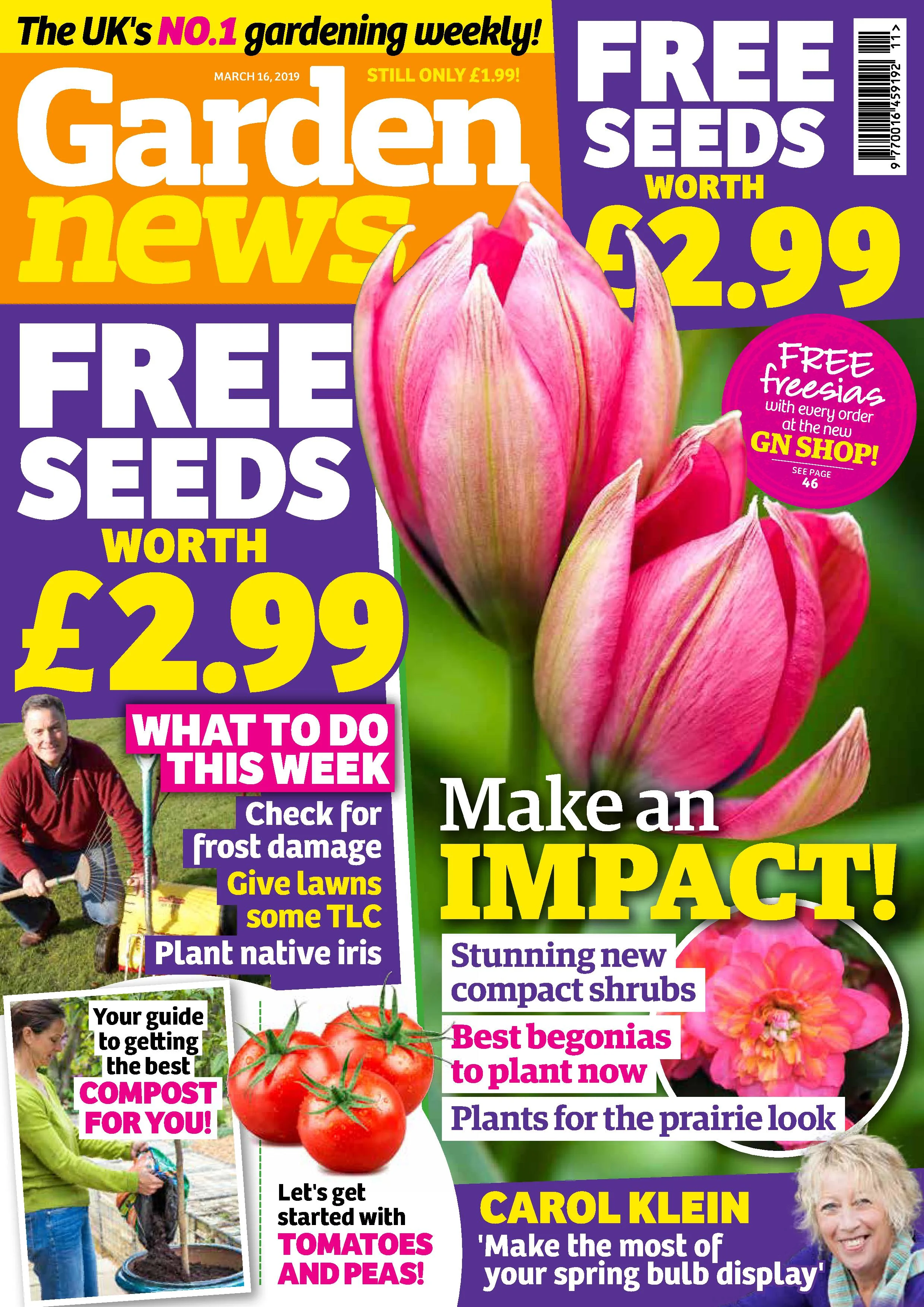 Cover (Low-res PDF).jpg
