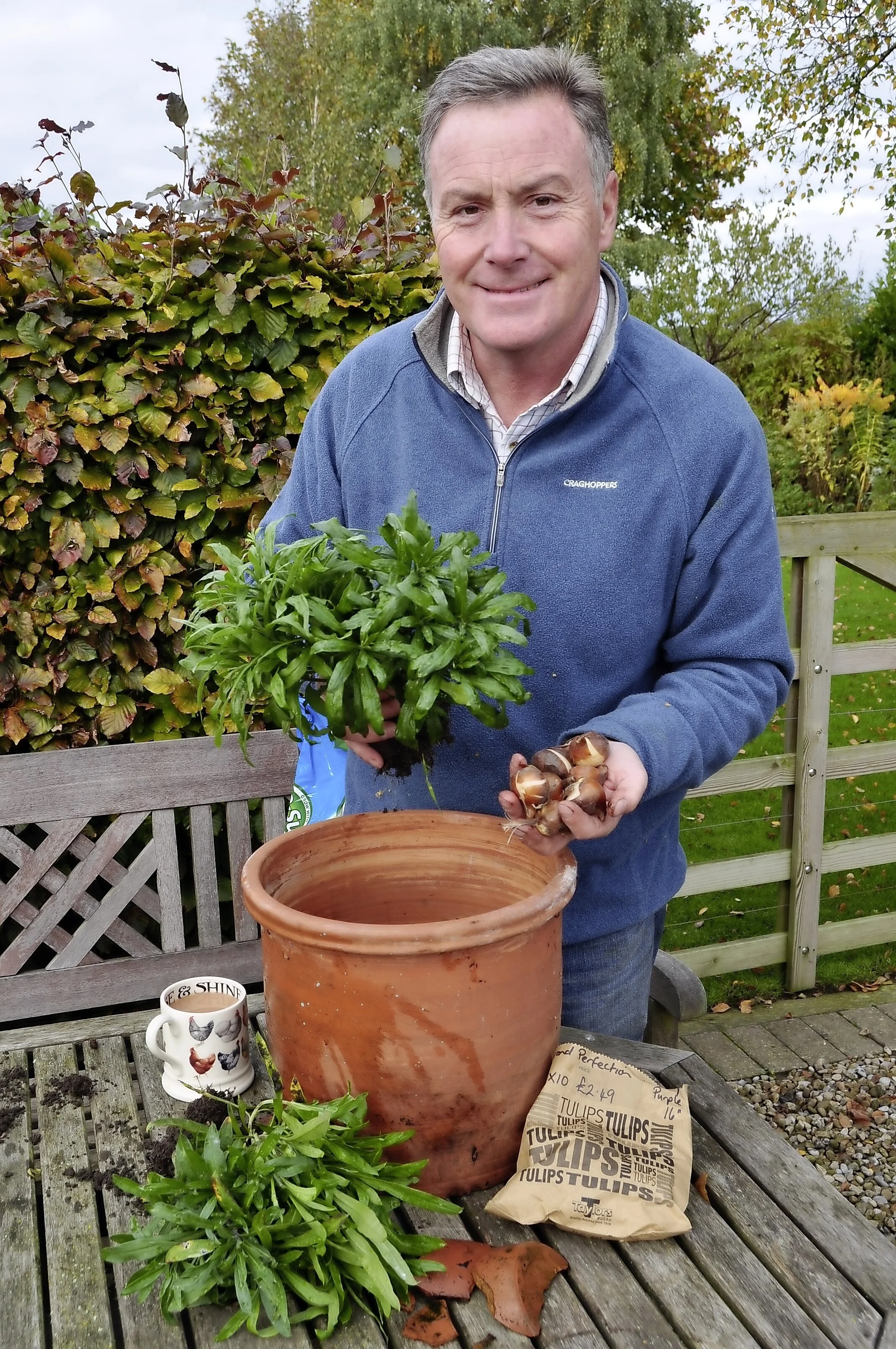 Tulip & wallflower pot - main pic.jpg