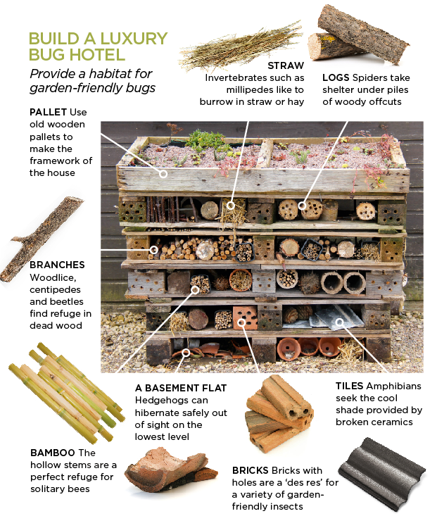bug hotel annotation.jpg