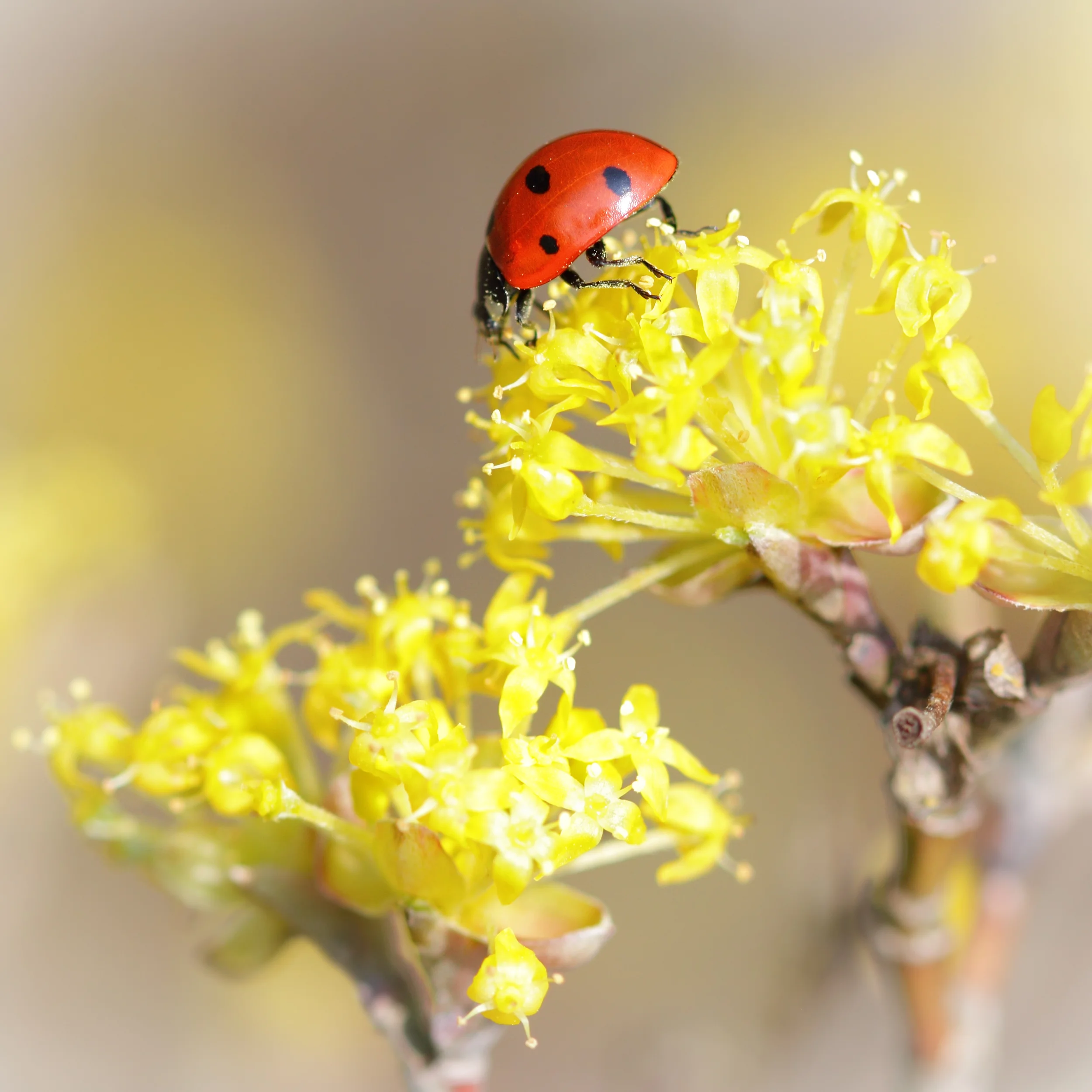 shutterstock_286269038.jpg