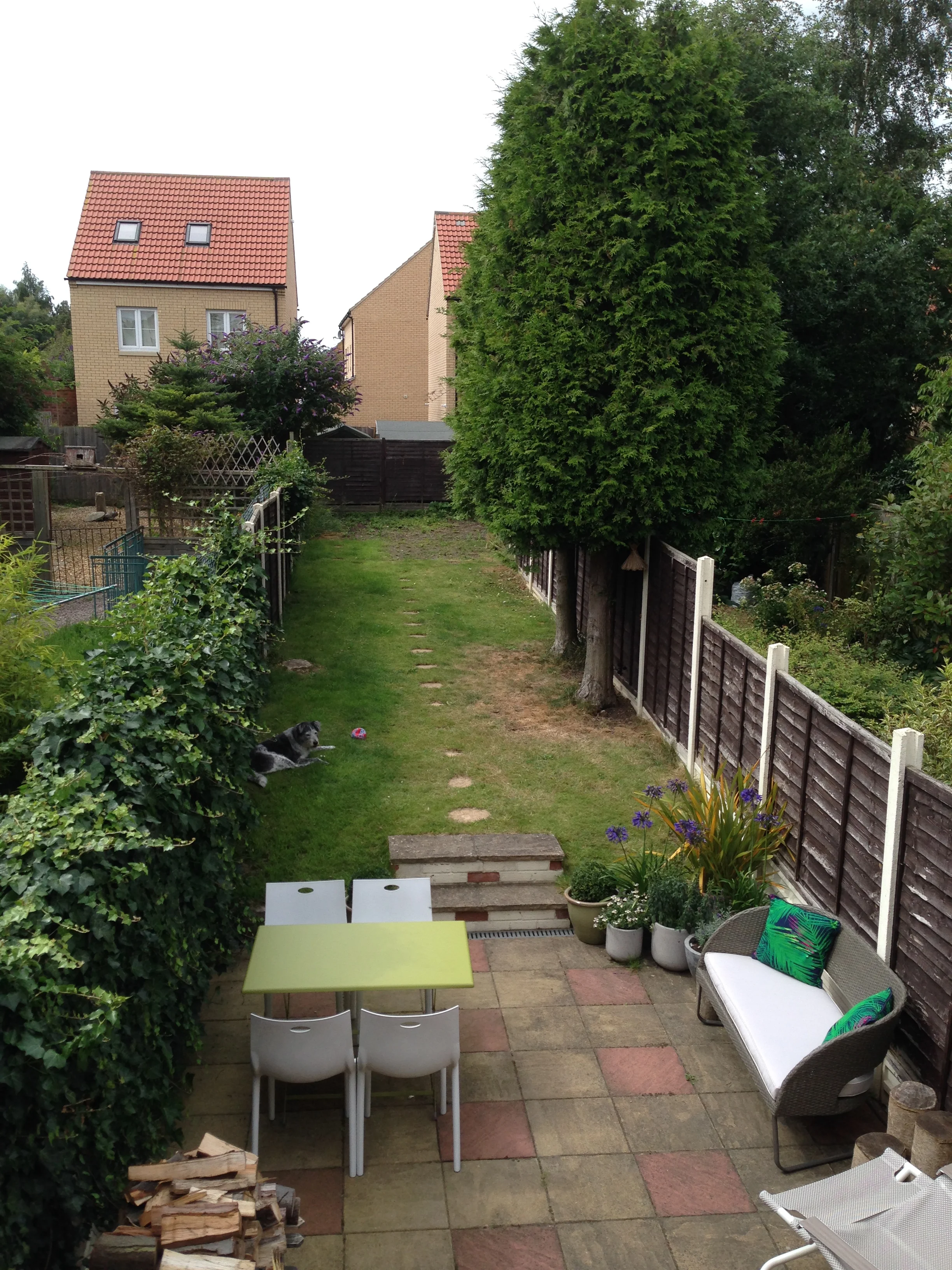 Q. Can you help me create an attractive dog-friendly garden