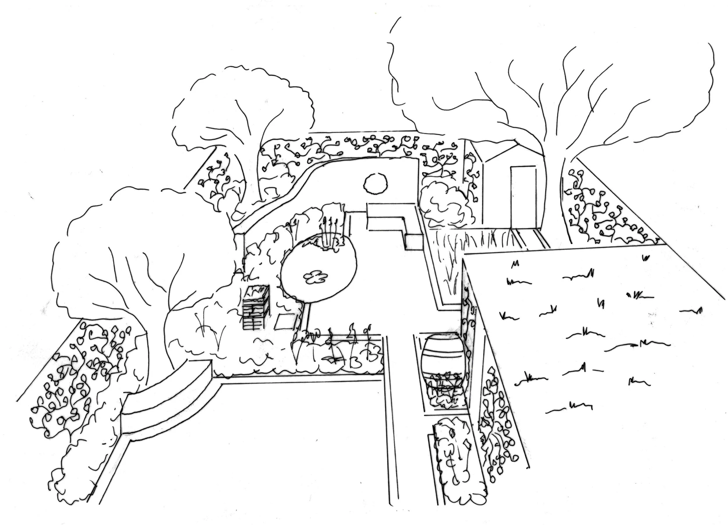 THE SKETCH by Dawn Issac