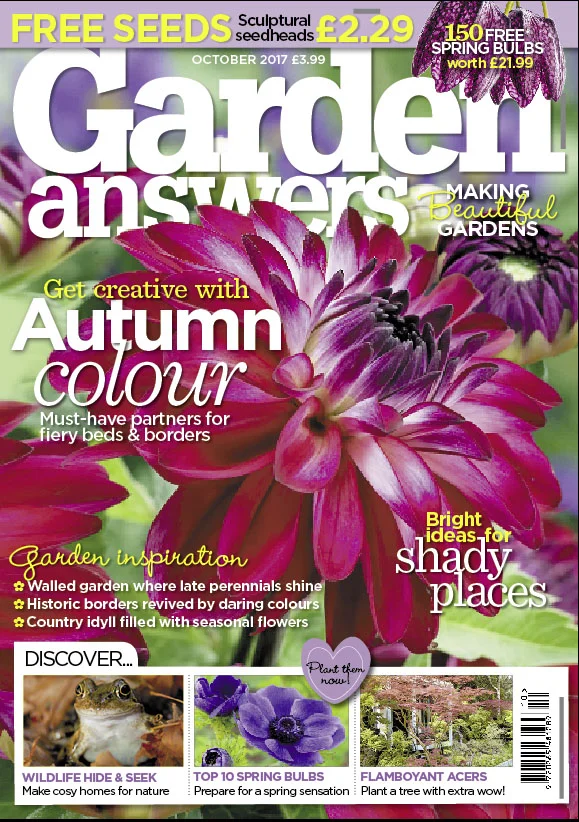 Cover Oct 2.jpg