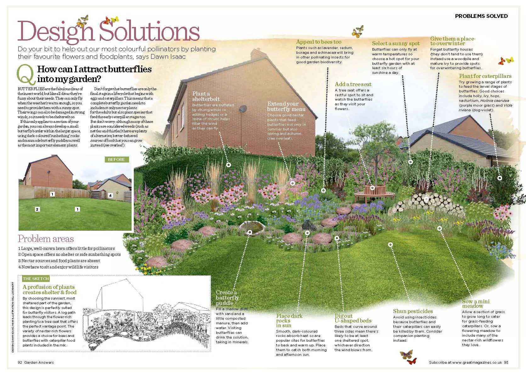 Design Solutions butterfly garden.jpg