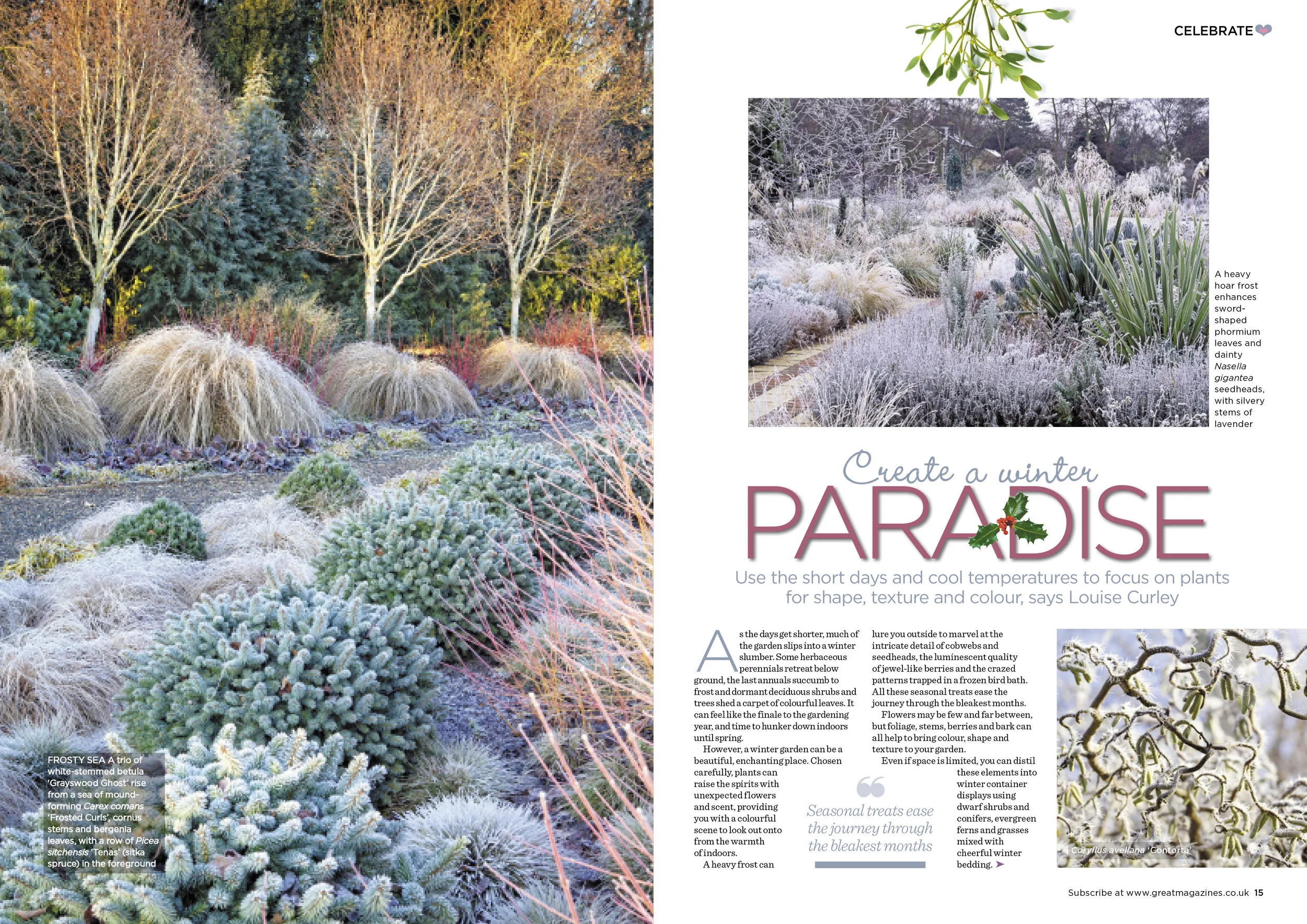 Create a winter paradise2.jpg